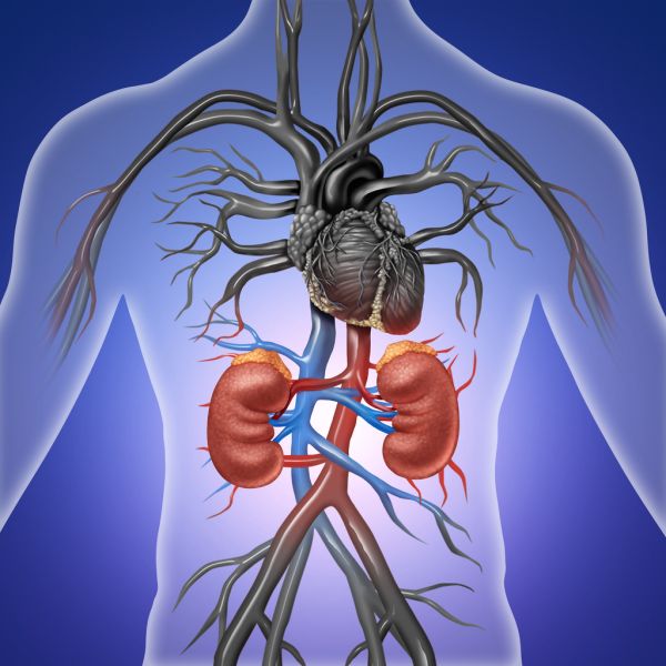 Internista-4652