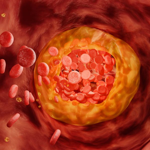 Internista-4679